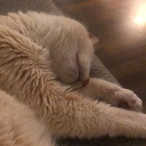 Meet your Posher, Jocelyn